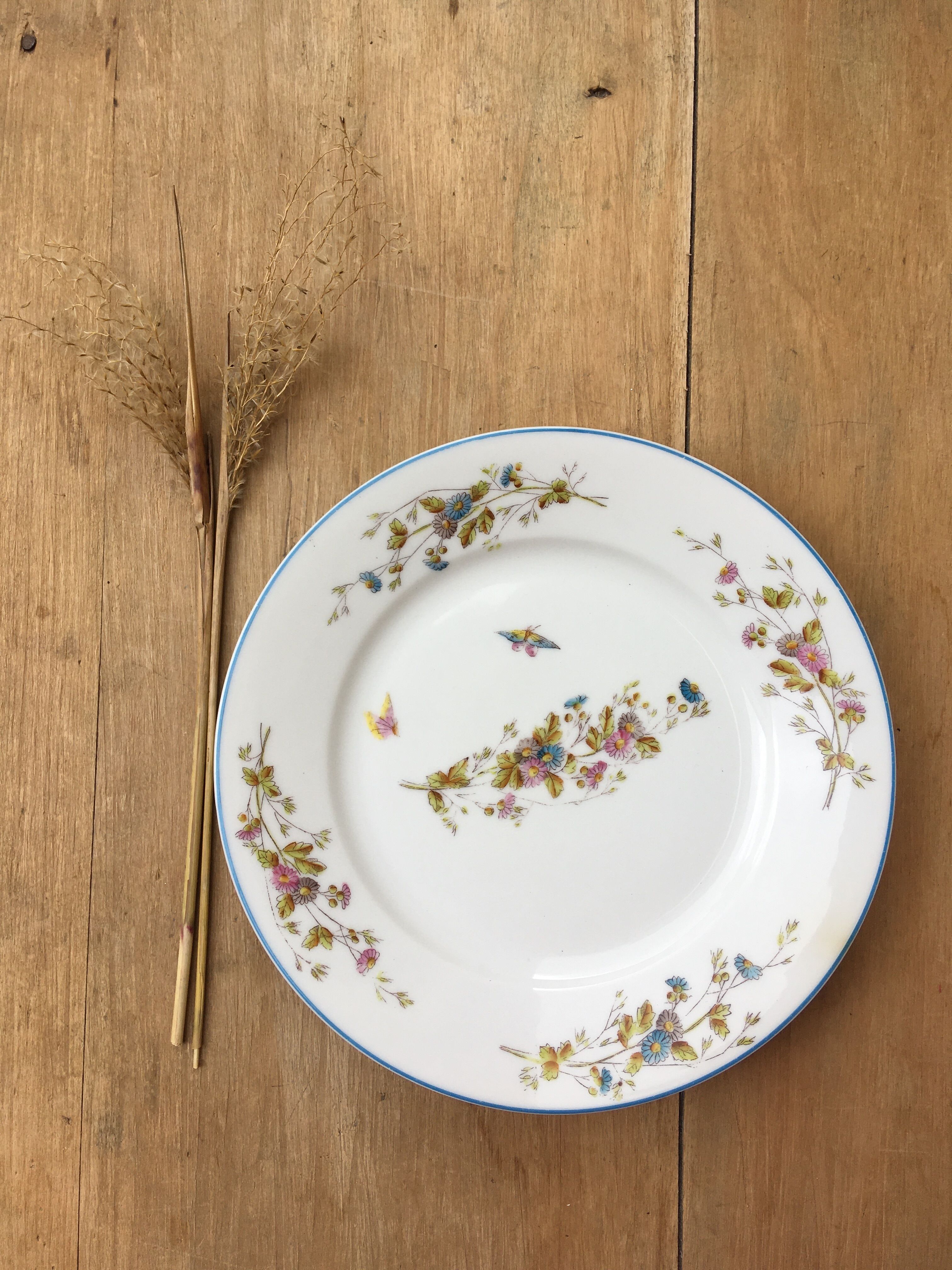 4 assiettes en porcelaine papillons