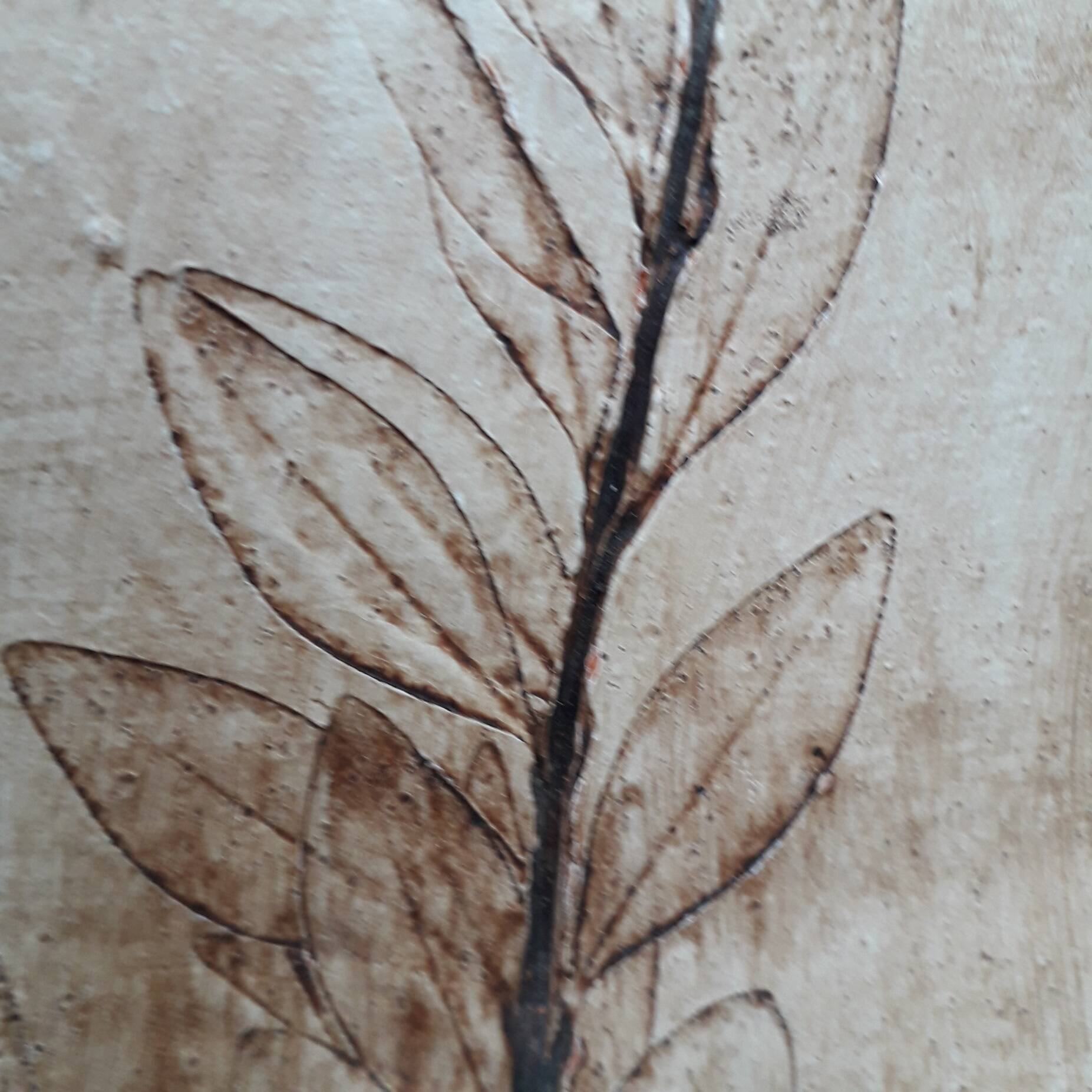 Herbarium cut dish