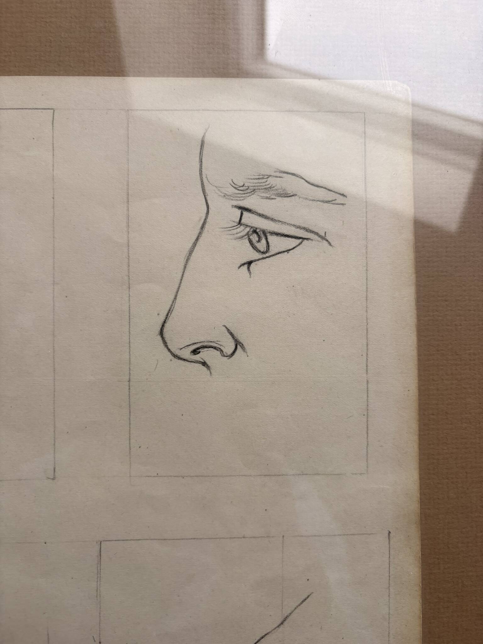 Old Engraving 19th Century Framed Anatomy Nose Mouth Plate Head Morphology