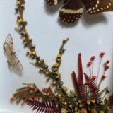 Naturalistic frame taxidermy butterflies vintage dried flowers