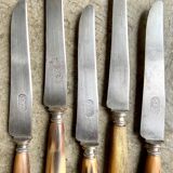 5 TD Paris horn and forged steel knives