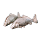 Poisson en métal argenté