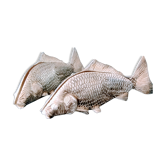Poisson en métal argenté