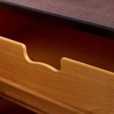 MODEL A 232 / CHINA ROSEWOOD CABINET BY BØRGE MOGENSEN FOR FDB MØBLER (MK9358)