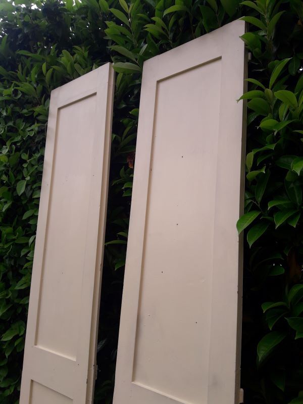 Pair of doors of antique closet