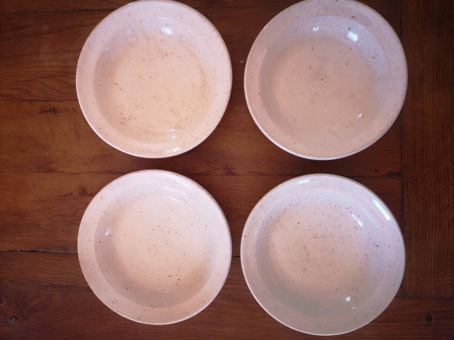 Lot de 4 Assiettes creuses en grès moucheté