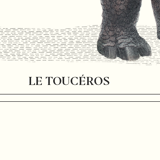 Lithograph engraving animal chimera - touceros