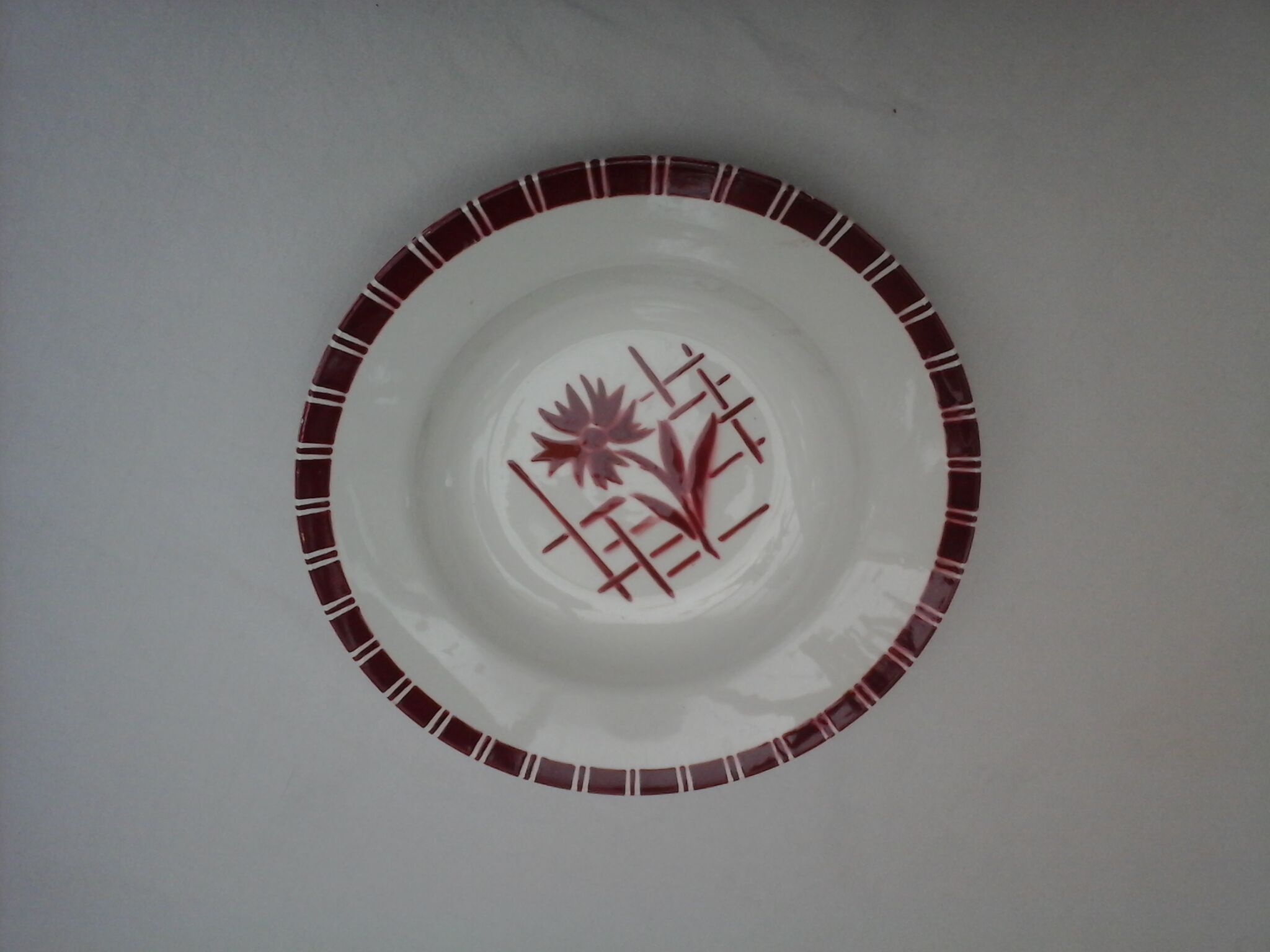 Assortment of 12 dominant plates red and green