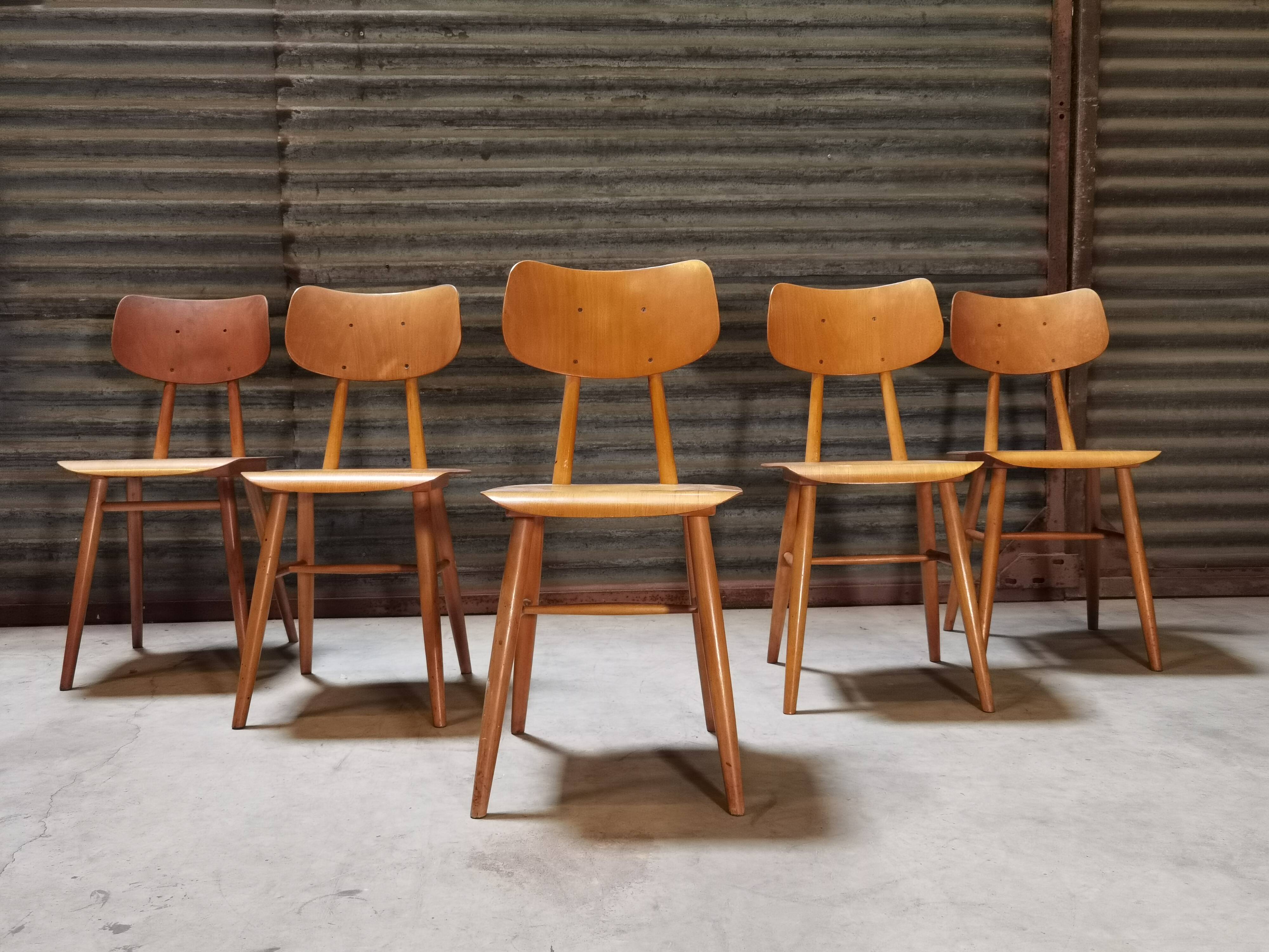 Set of 5 all-wood chairs published by Ton 1960