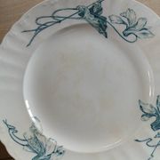 12 assiettes plates anciennes en Terre de fer 