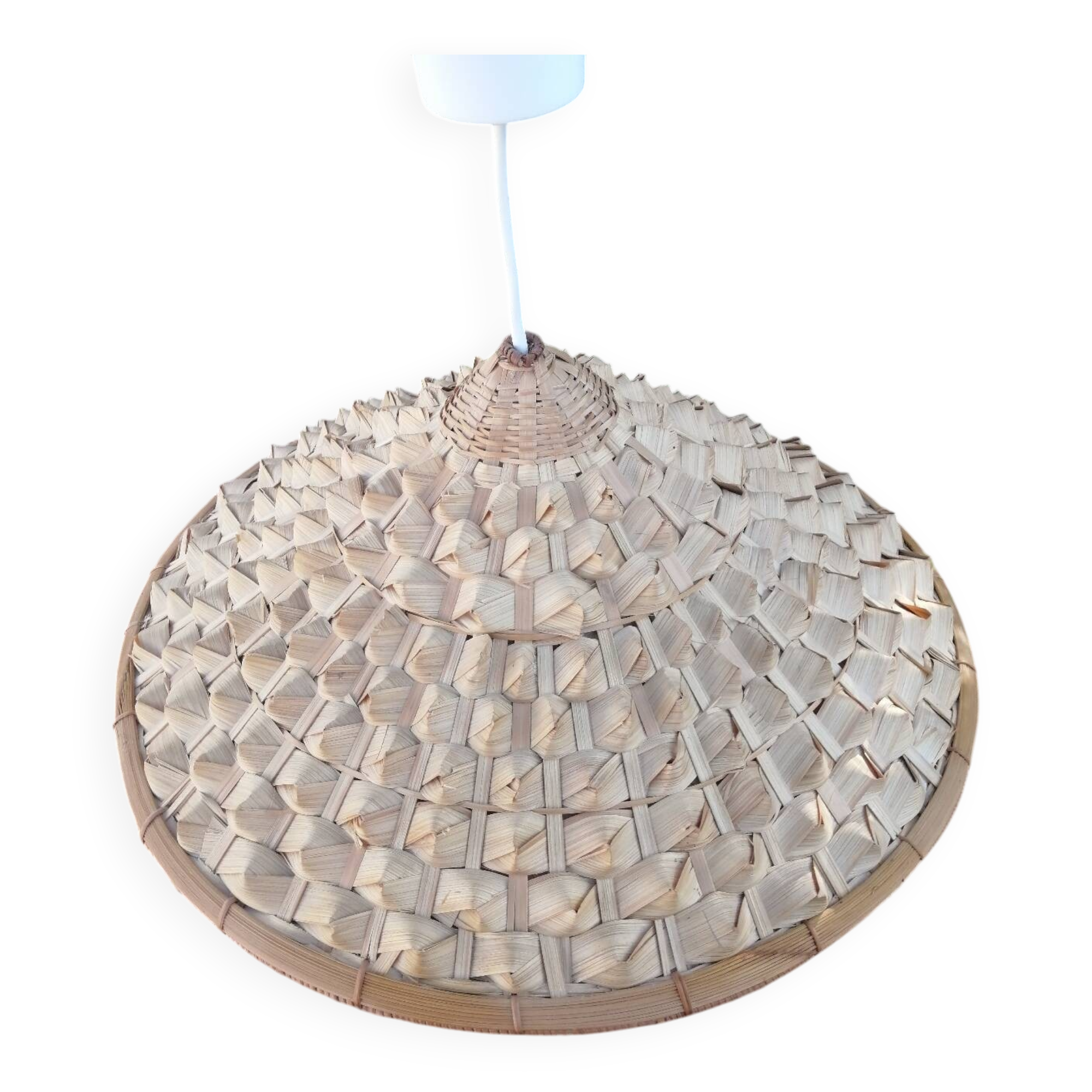 Vintage palm leaf pendant light