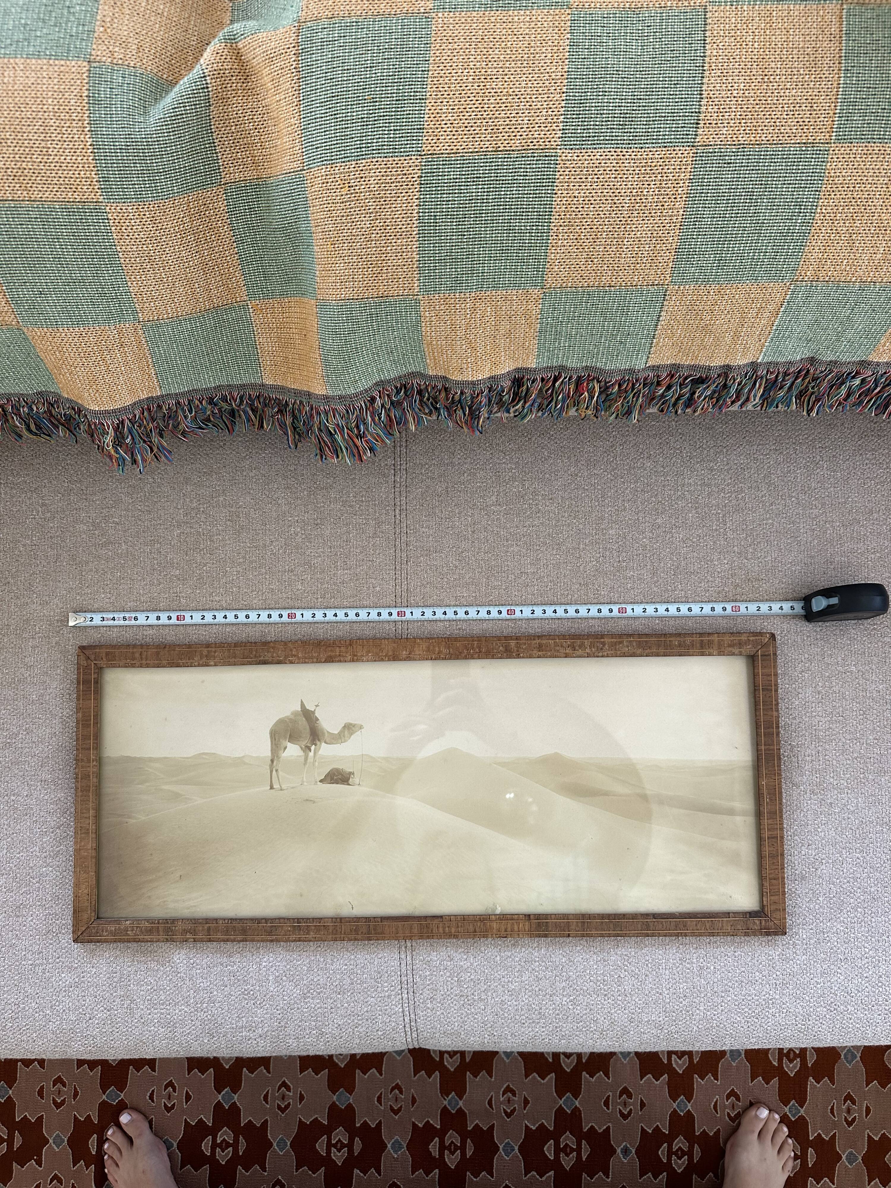 Panoramic photograph of the ancient Sahara A. Bougault around 1900 – Framed