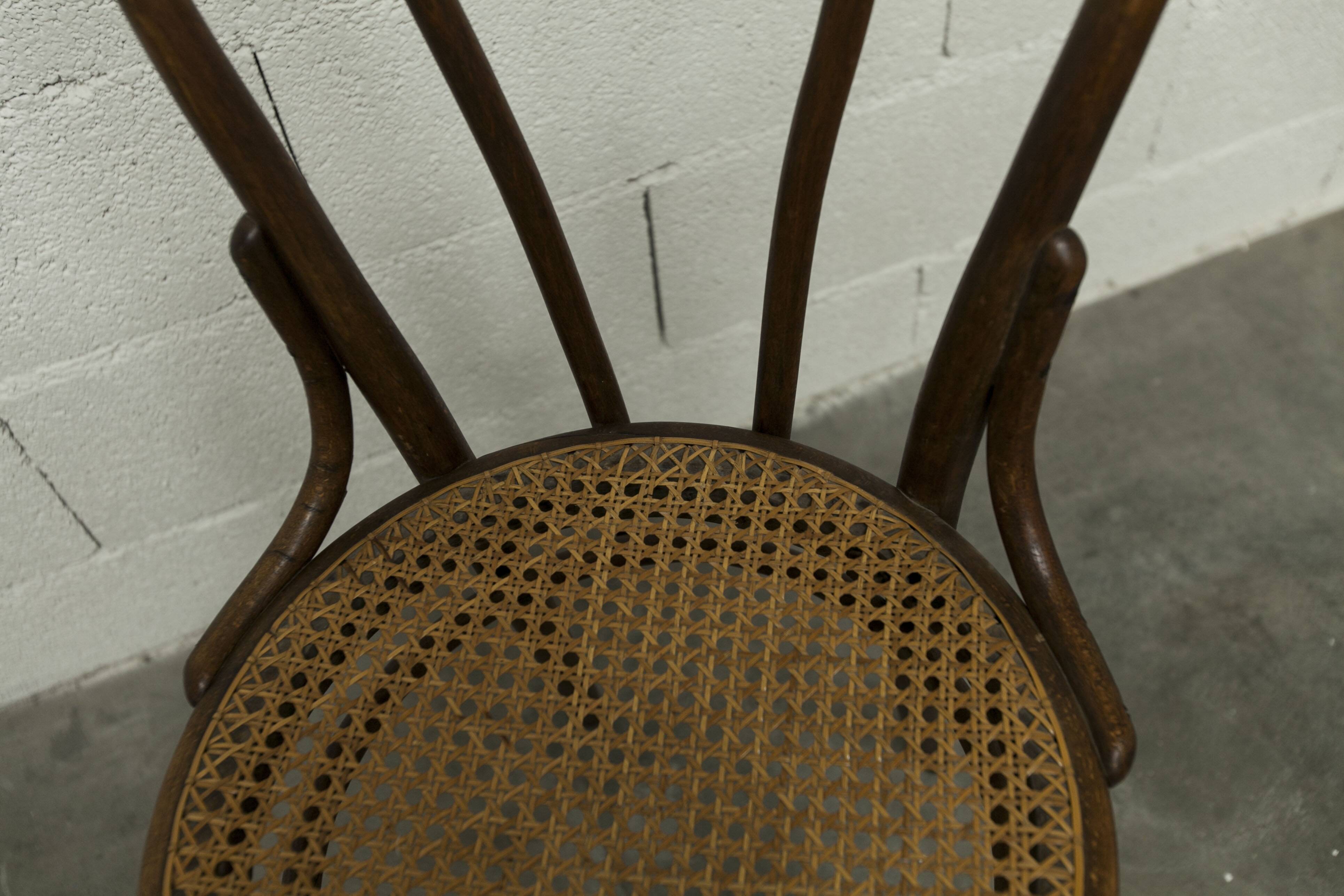 1920s curved wooden cane bistro chair
