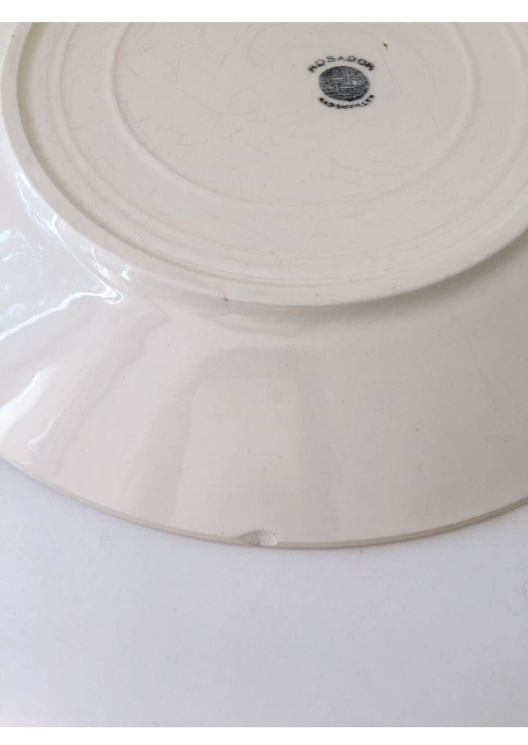Badonviller Rosador flower dinner plates