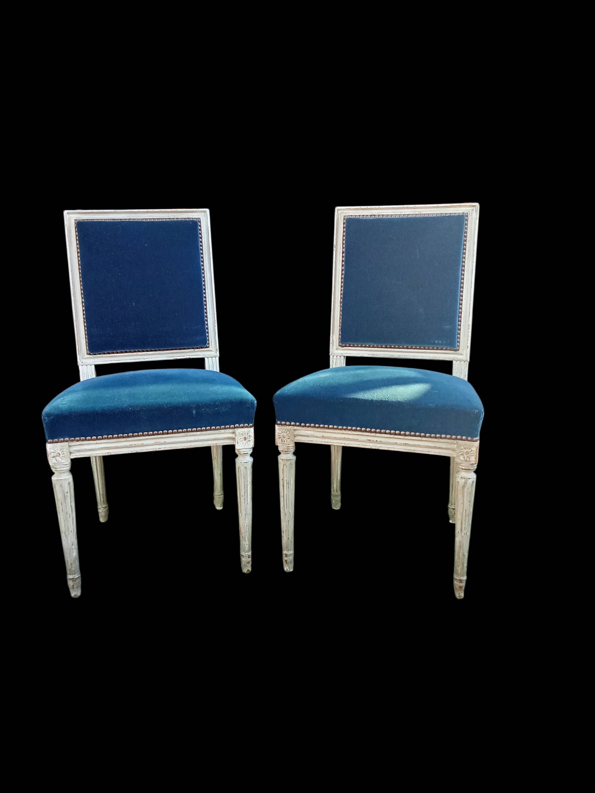 Série de 4 chaises style Louis XVI velours bleu