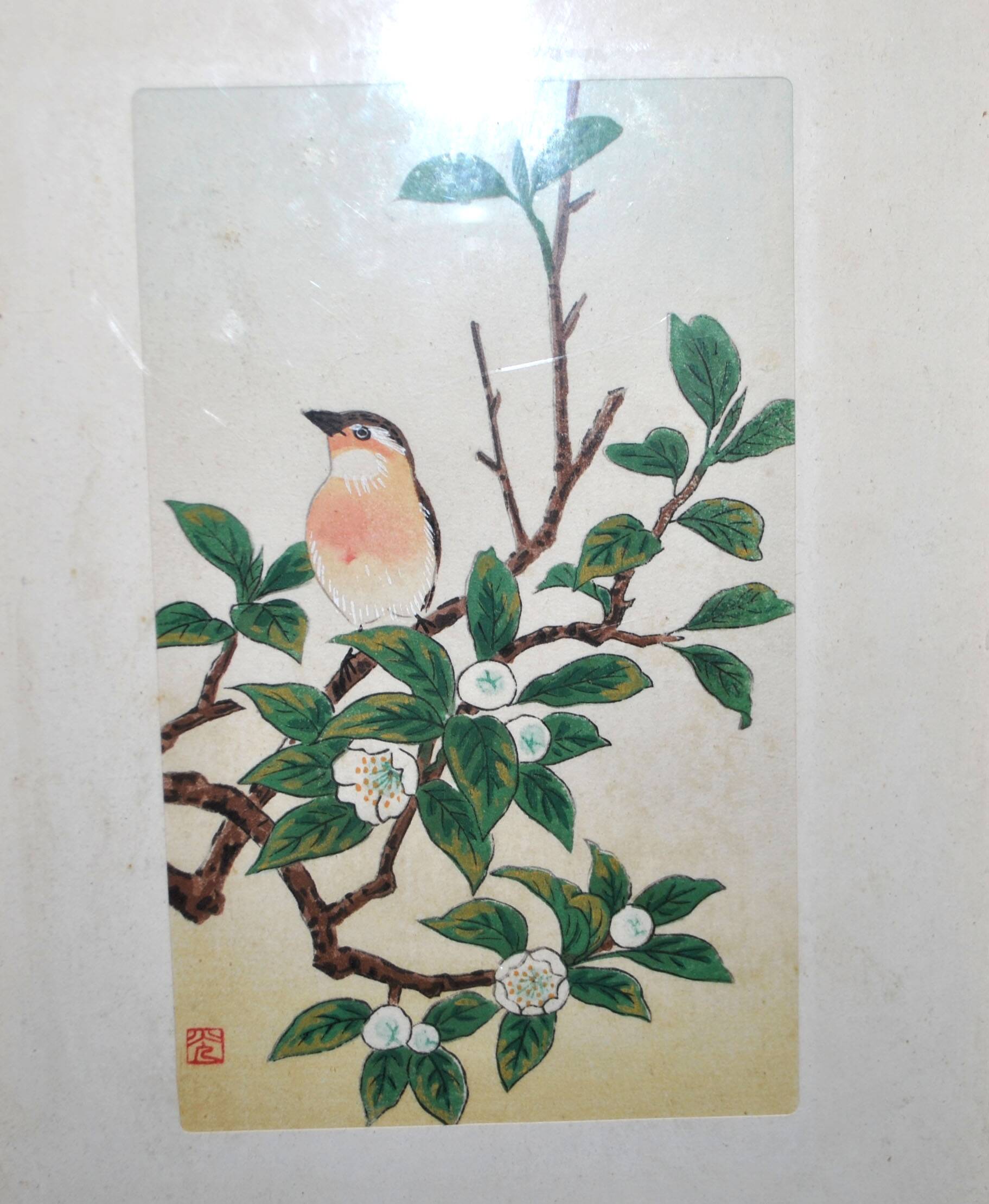 Painting enhanced engraving bird japan signed ashikaga "teaoil plant" 1950