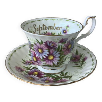 Royale Albert Flower of the month tea cups - Flower of the month September