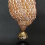 Cabinet de Curiosités coquillage tonna perdix sur socle