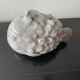 Small Rascasse box in glazed terracotta signed Rochehaut