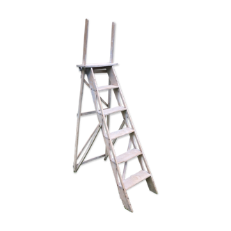 Ancient stepladder