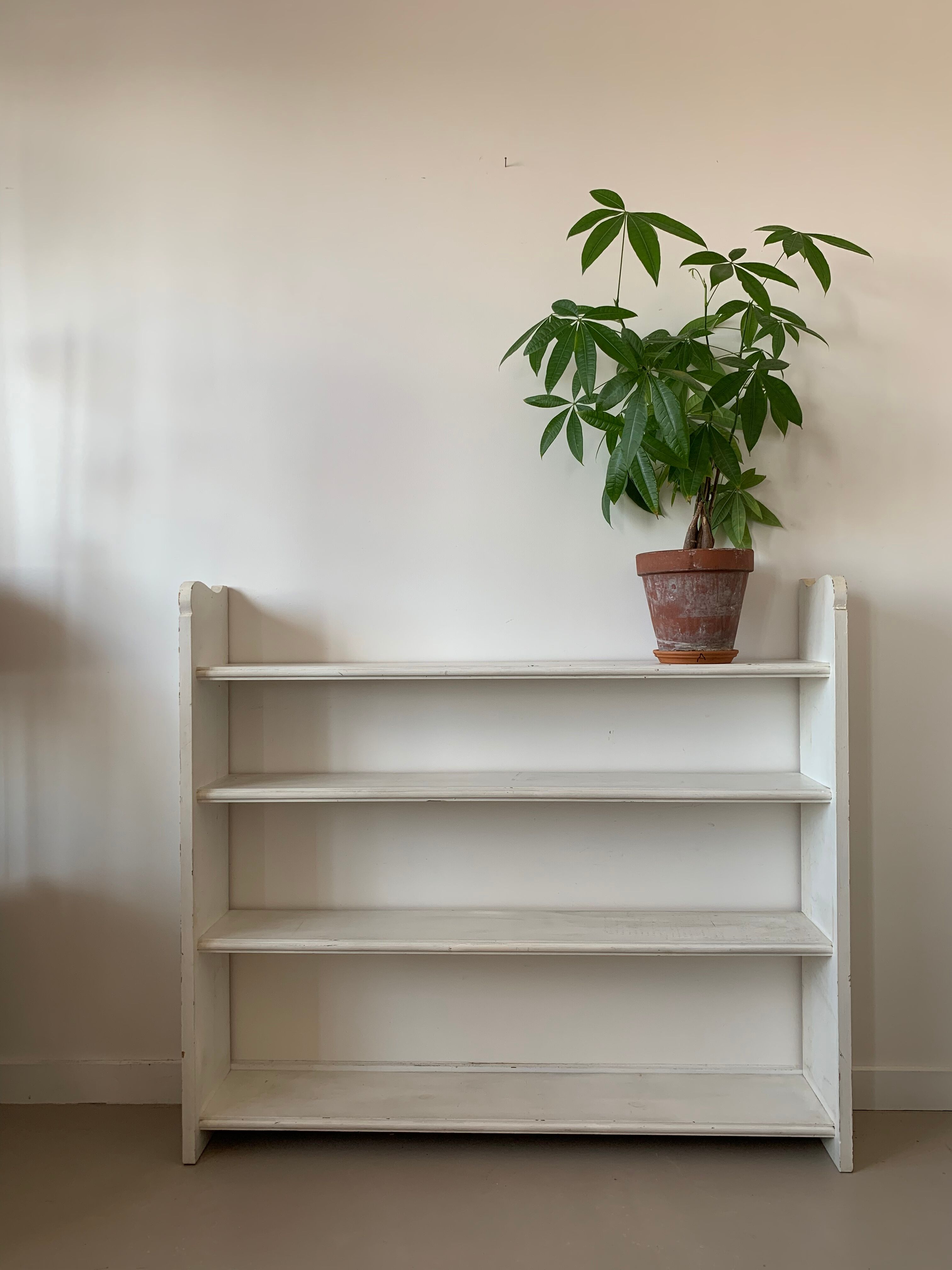 Antique solid wood shelf
