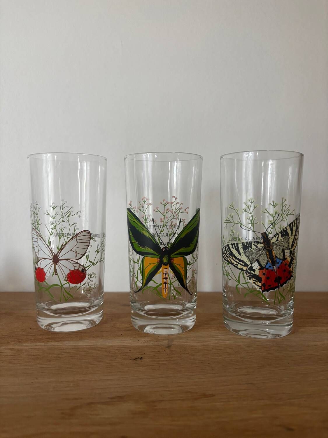Vintage lot de 3 verres à eau papillons du monde