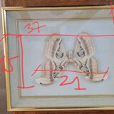 Frame butterfly attacus atlas India