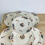 7 Longchamp iron earth plates and dish, Aubépine model