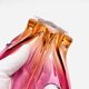 Coupe Murano - Sommerso - Orange & Rose