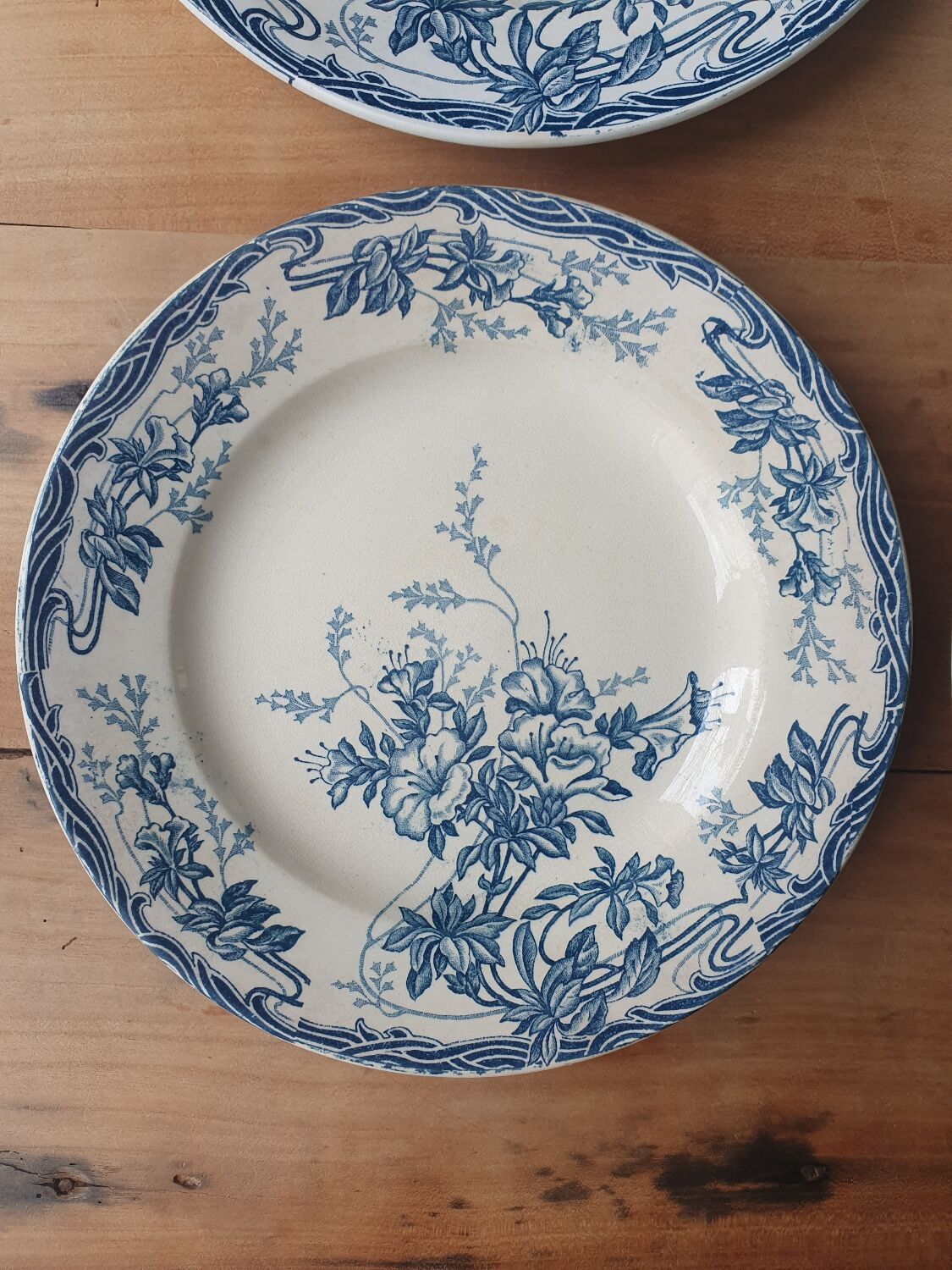 Longwy Azalea plates