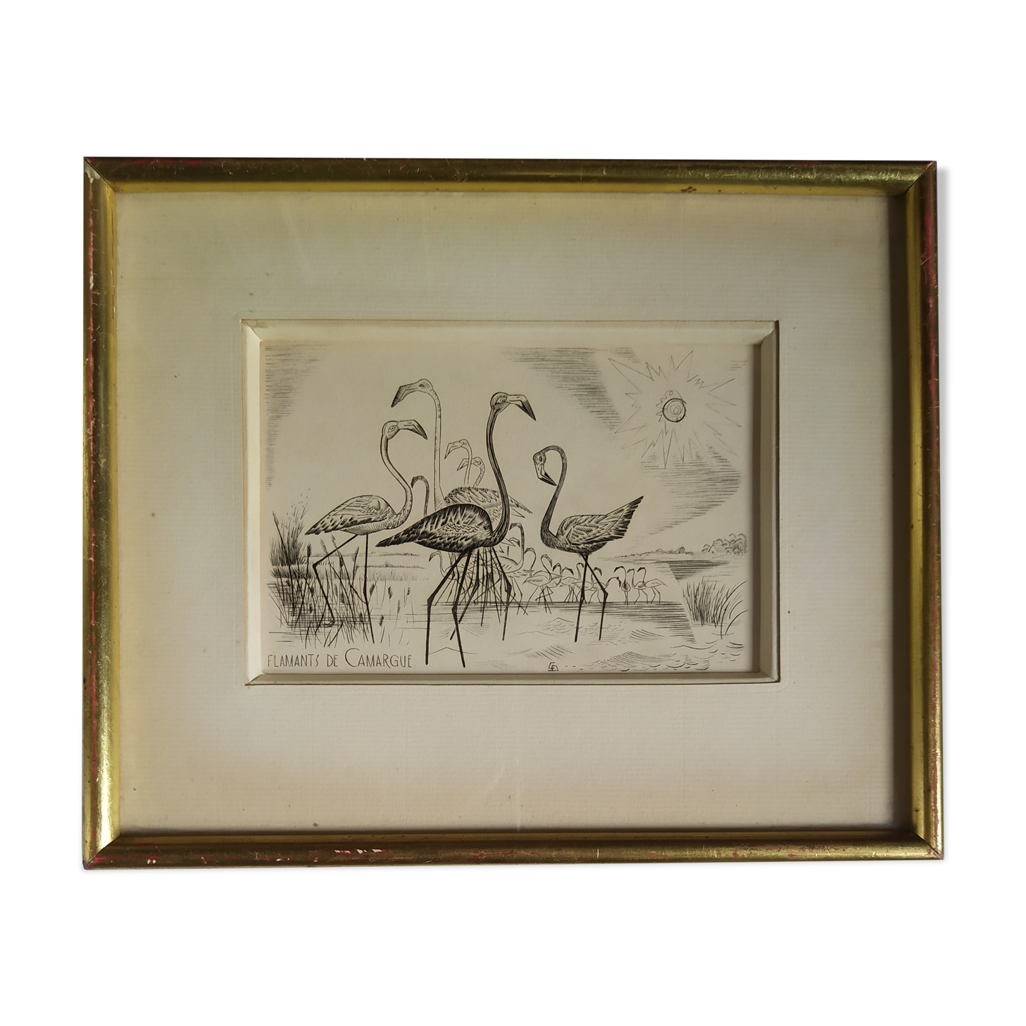 Engraving " flamands de camargue " 1950's