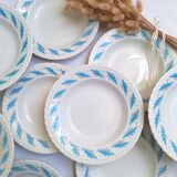 10 Amandinoise soup plates with blue oak leaves