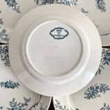 Badonviller ironstone plates "Roses"