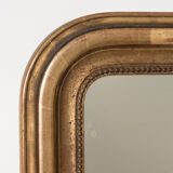 Mirror with Floral Etchings 66x92cm