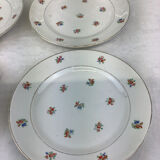6 dessert plates made in france digoin