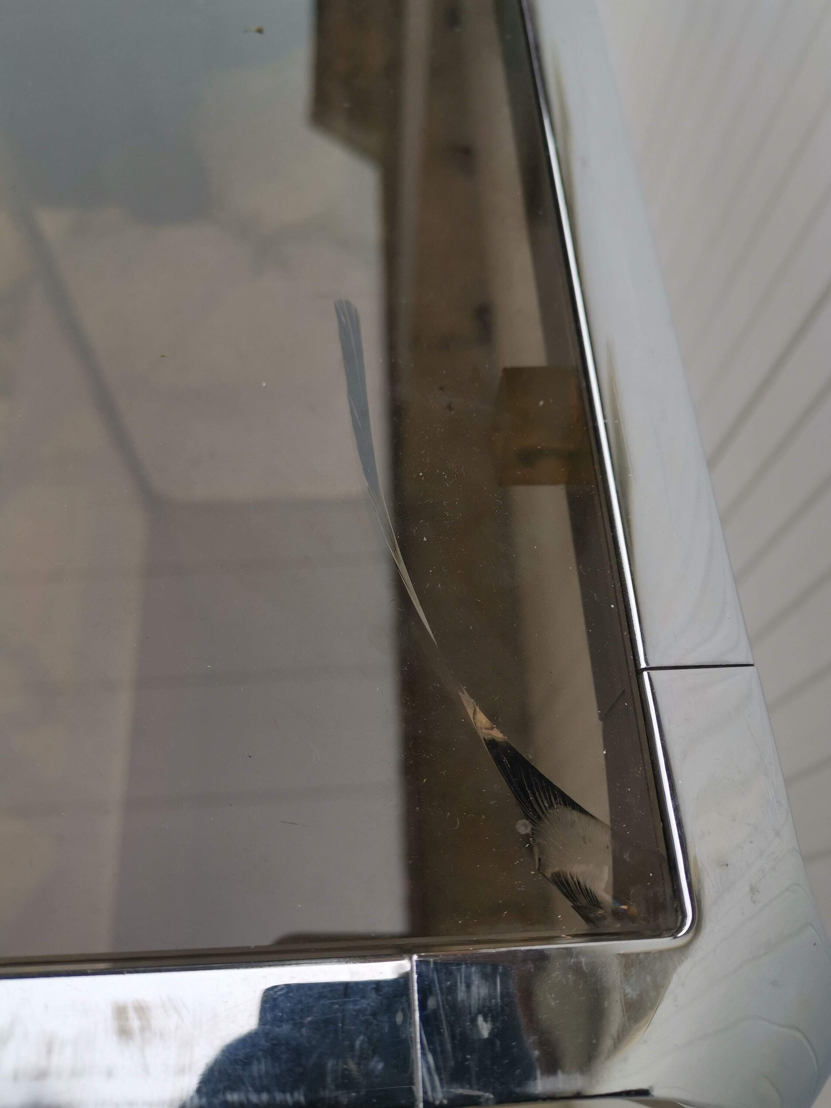 Fratelli Orsenigo Shelf