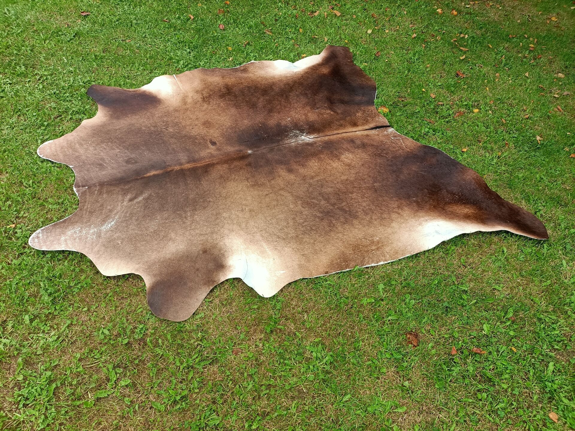 Cowhide Rug