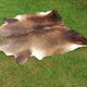Cowhide Rug