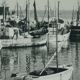 Photo vintage Ile d'Oleron