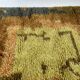 Abstract Scandinavian Multicolor High Pile RYA Rug Carpet, Sweden, 1960s