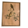 Lithographie J.Gould & W. Hart Del et lith