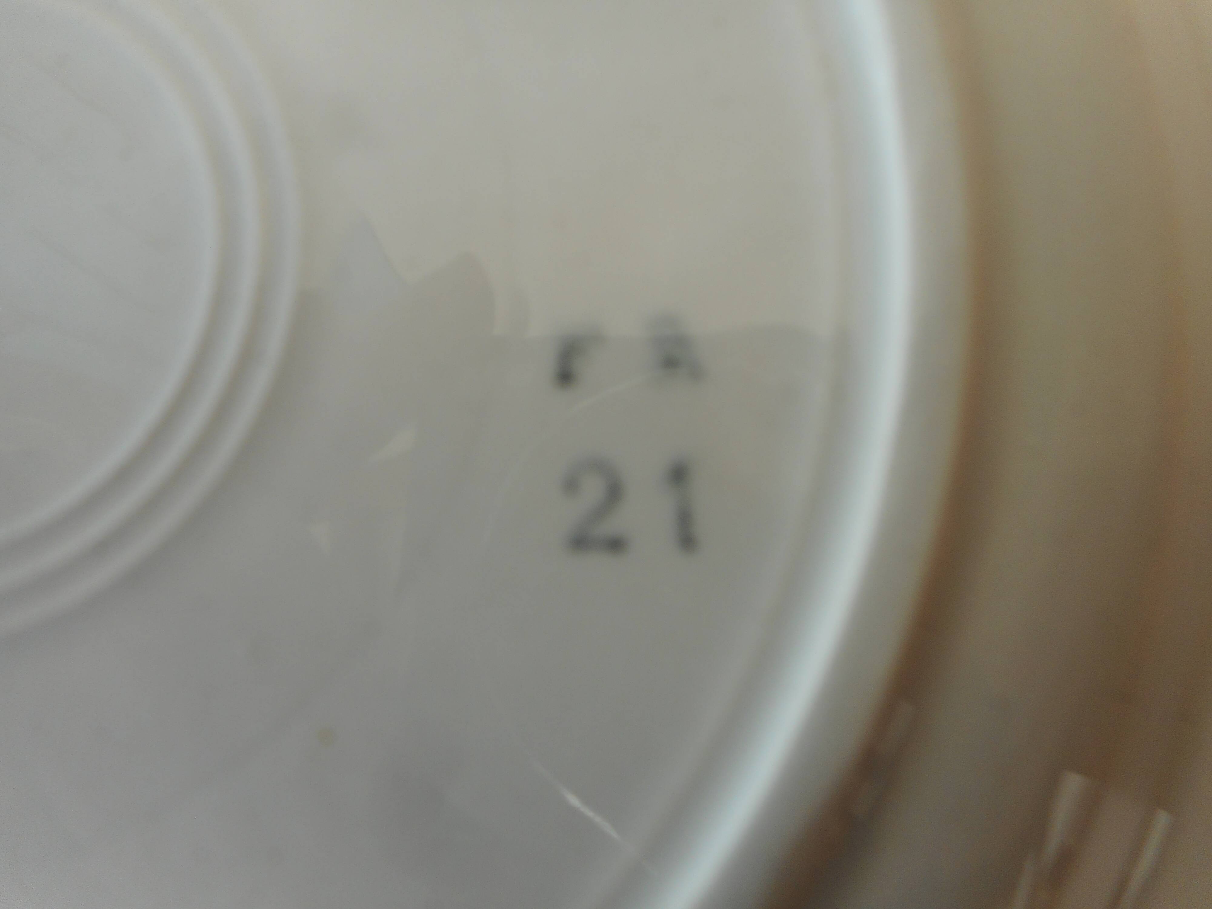 Set of 10 dessert plates