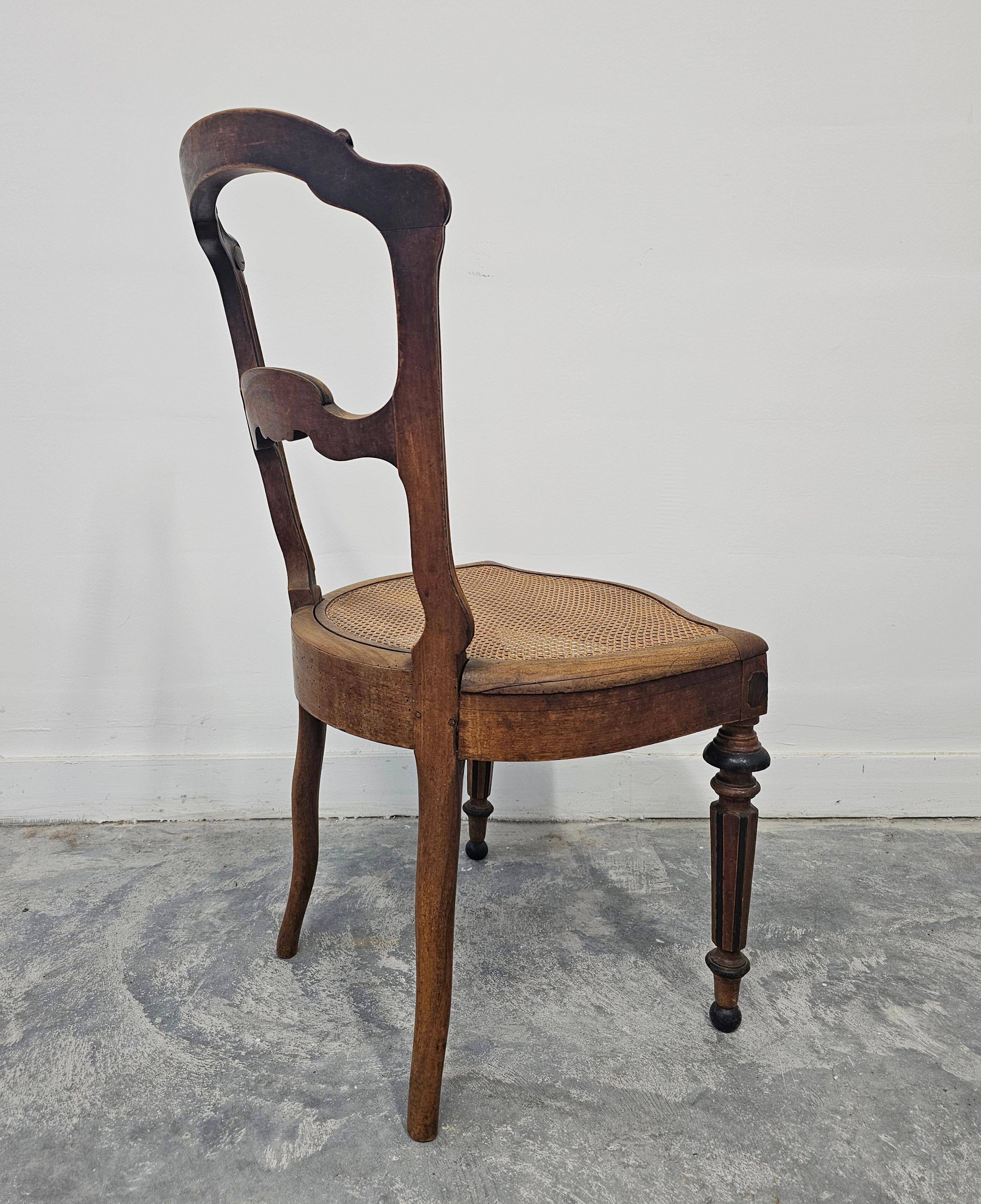 Set of 6 antique dining chairs in solid walnut, cane seats, 19th century.