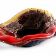 Mid-Century Vallauris “Sea Shell” Vide-Poche / Catchall, France, 1950s