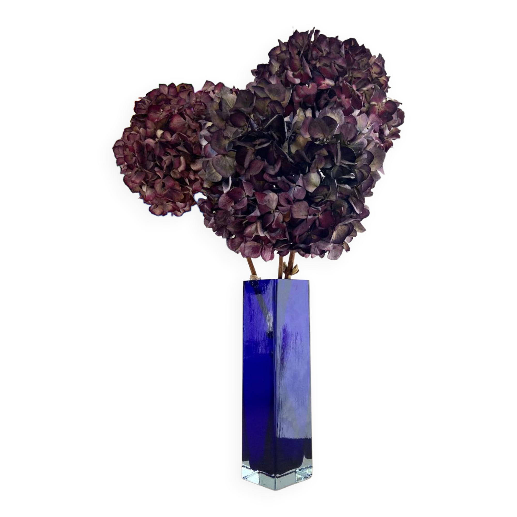 Cobalt blue glass vase