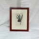 Old English botanical engraving numbered