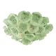 Contemporary Floreal Green Murano Glass Flush Mount by Simoeng
