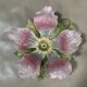 Large clematis slip pocket emptier