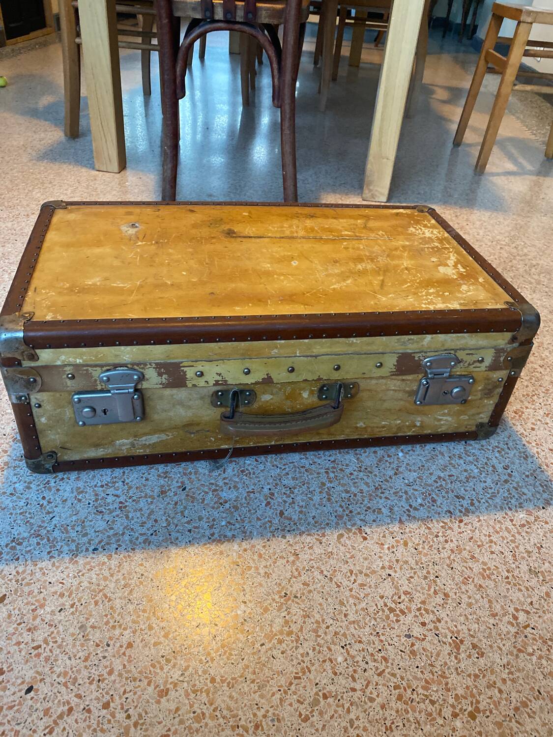 Luxury velun suitcase 1920