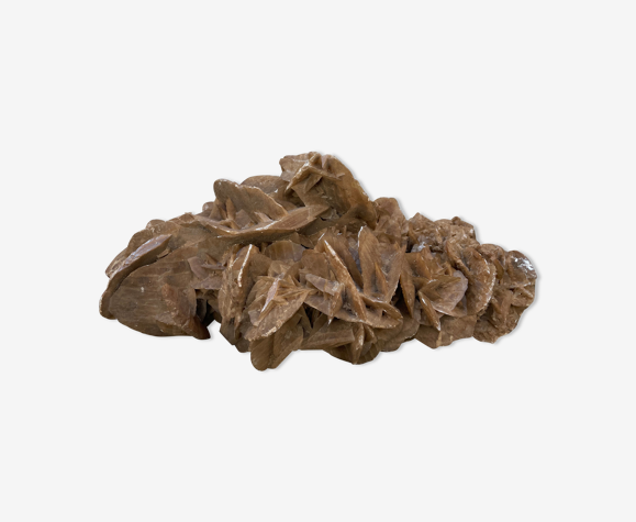 Rose des sables 45 x 22 x 21 cm